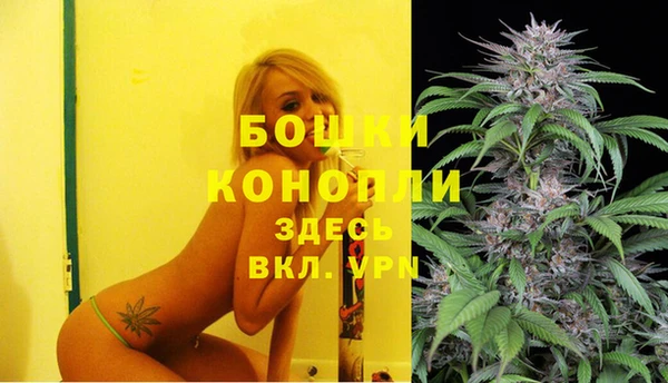 spice Вяземский