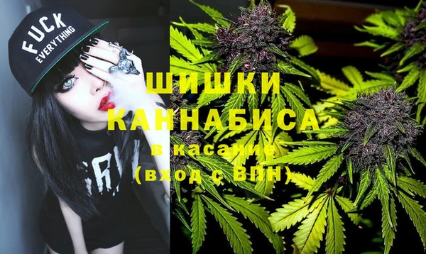 spice Вяземский