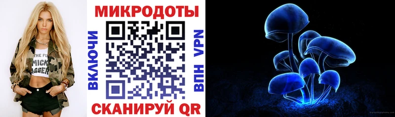 Псилоцибиновые грибы Psilocybe  где найти наркотики  Саяногорск 